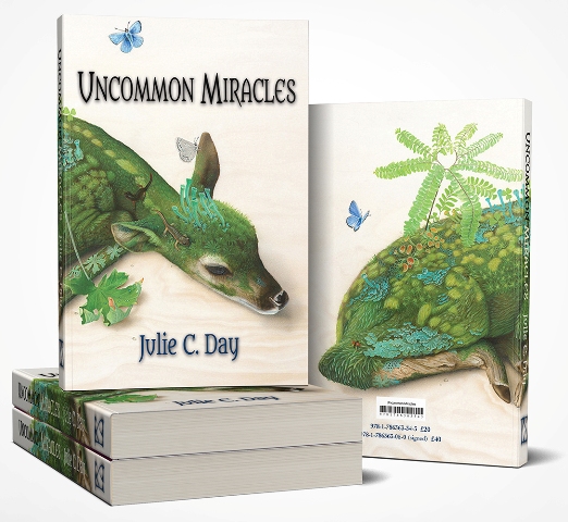 Uncommon Miracles